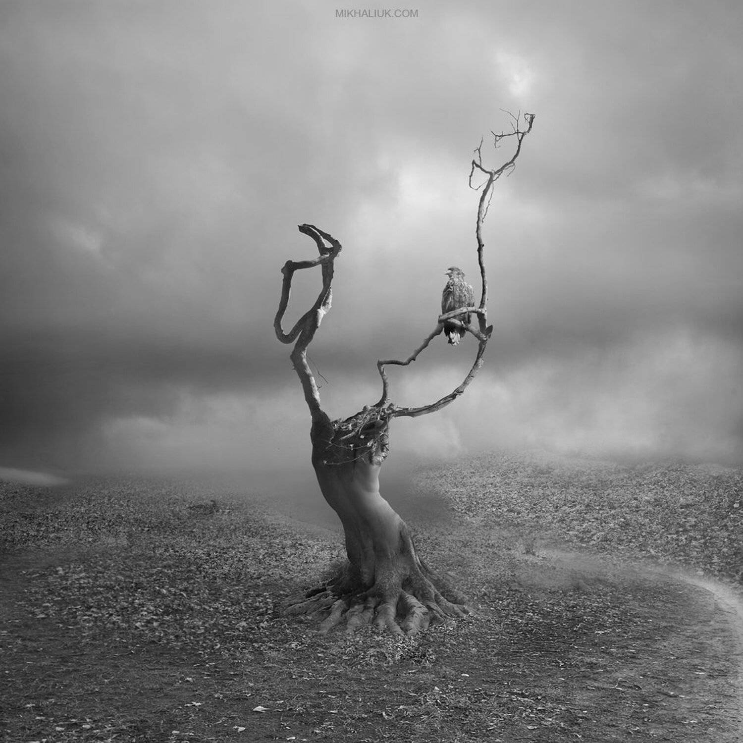 , Михалюк Сергей.