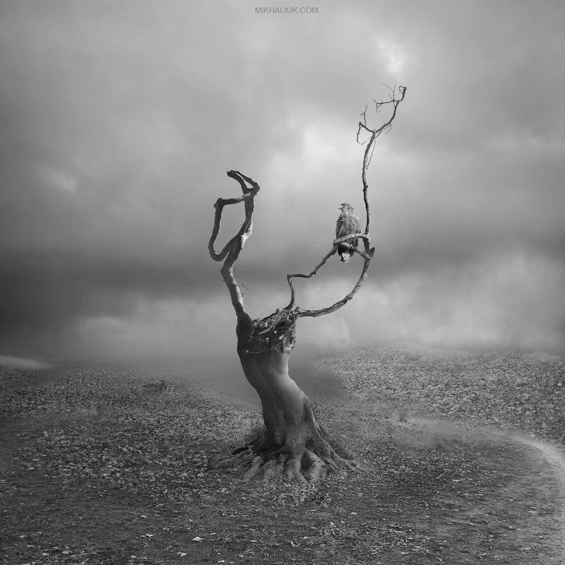 Древо познания фото превью