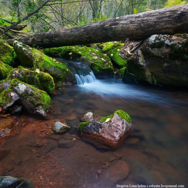 Сердце реки фото превью