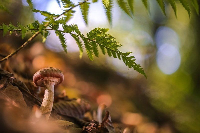 Друзья,скоро лето! фото превью