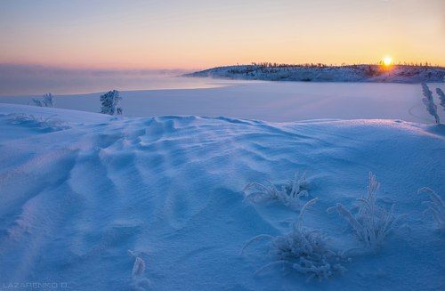 Ладожский пурпур