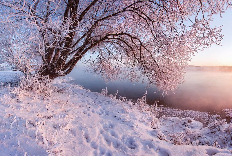 Беларусь, Зима, Иней, Мороз, Пейзаж, Река Вилия, Снег Утренне фото превью