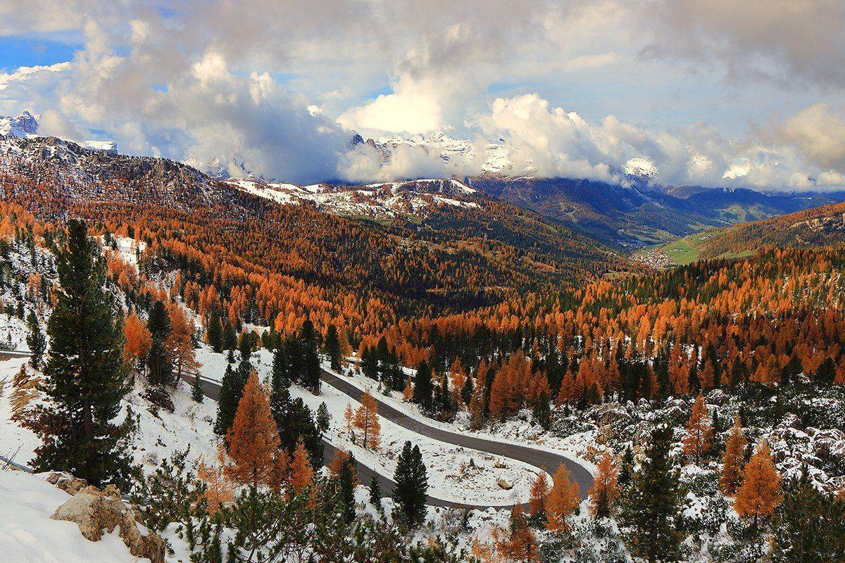 , Игорь Дубровский