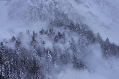 Mountain Spirits