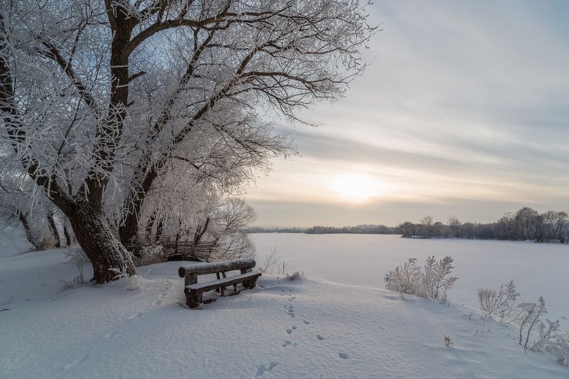 Нежное серебро зимы. фото превью
