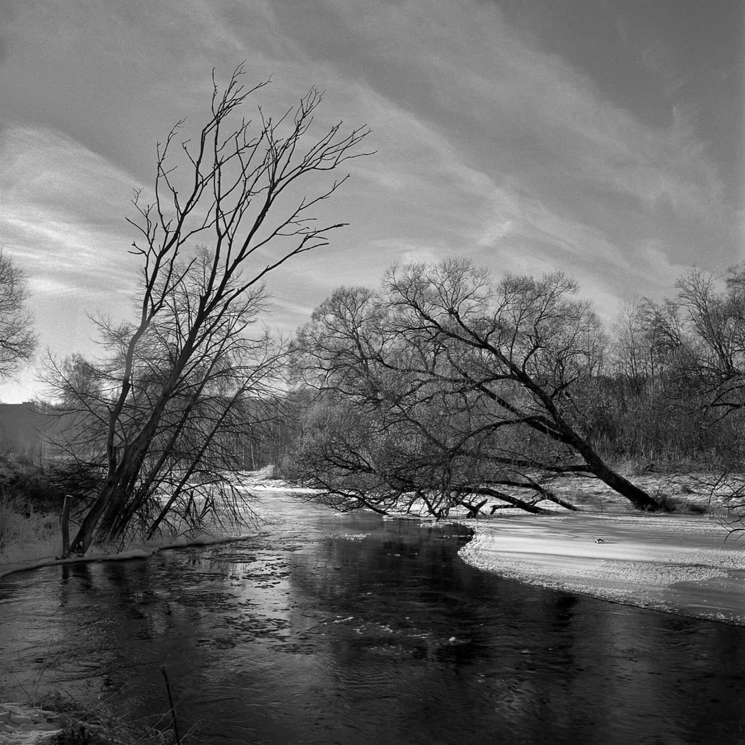 зима., лес., река., снег., Александр Резников