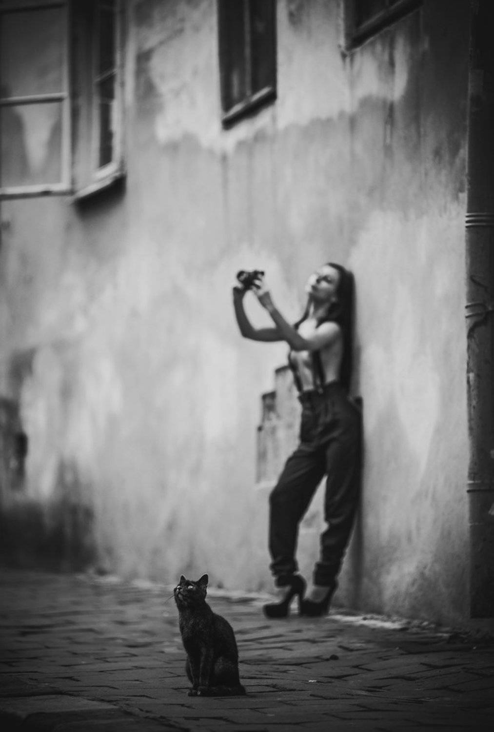 Аркадий курта, Арт, Жанр, Жанровый портрет, Кошки, Львов, Портрет девушки, Стрит, Улица, Эротика ню, Аркадий Курта