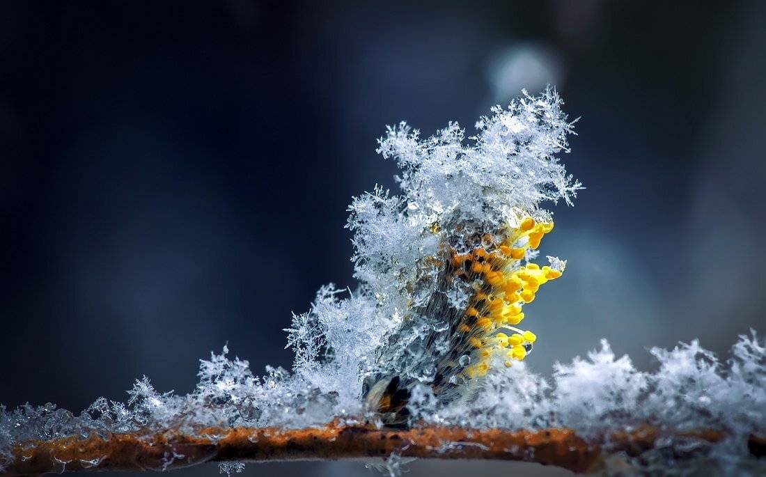 , Анатольевич