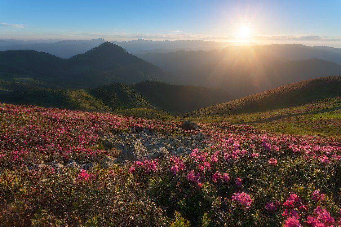 , Ярослав Тюрменко (Jaremi)