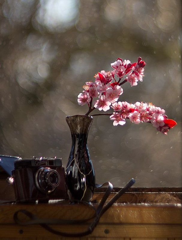 PRO 5 см в секунду... фото превью