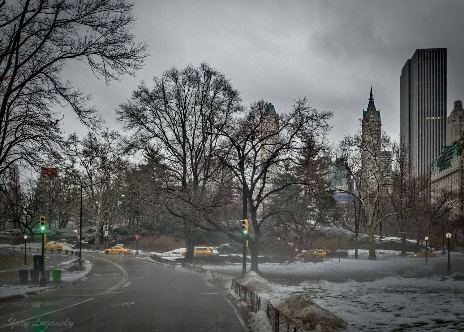 Yellow Cabs Central Park new york city, Yury Lugansky
