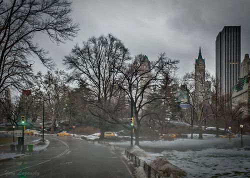 Желтые такси в Центральном парке