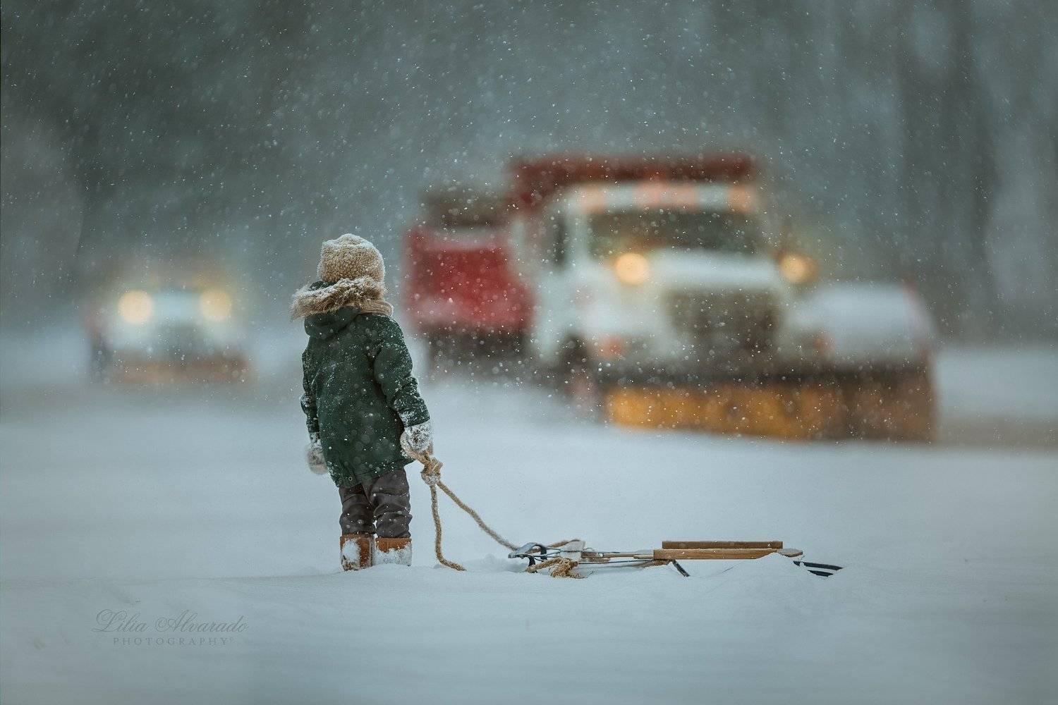 Child, Sled, Snow, Winter, Lilia Alvarado