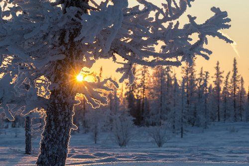 За полярным кругом тоже бывает солнце...