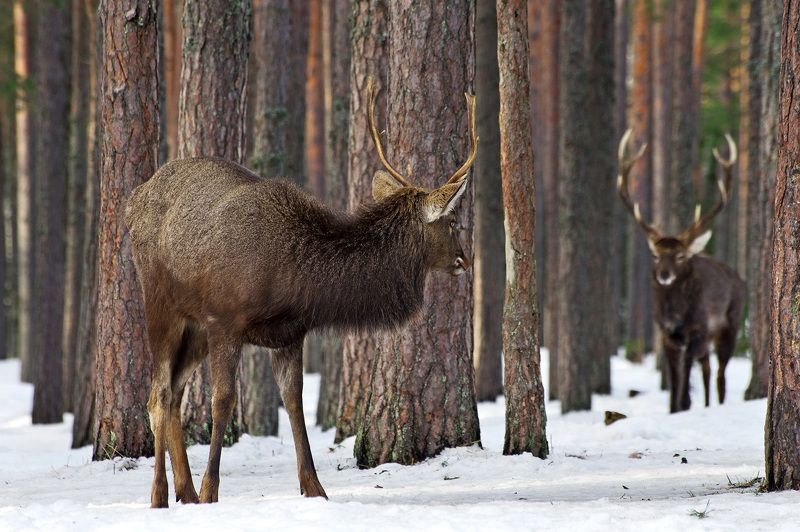 Остров фото превью