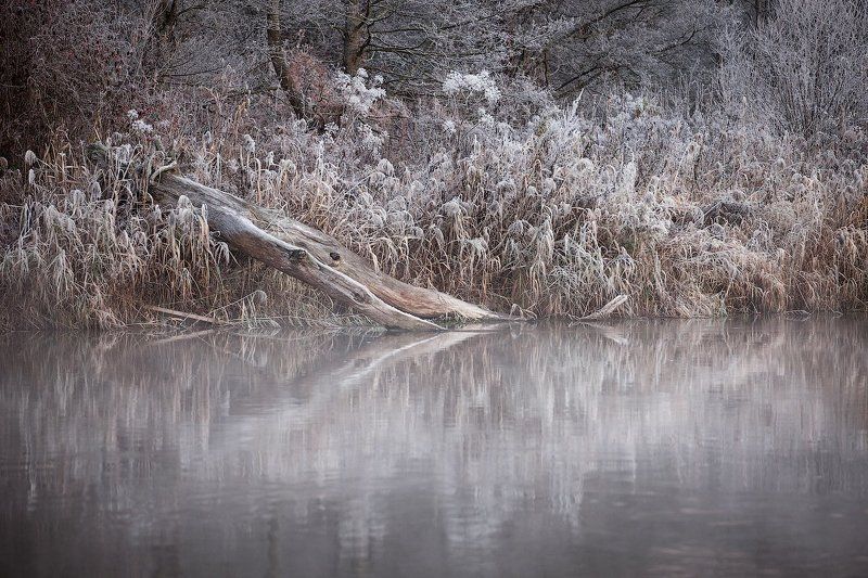 Беларусь, Заморозки, Осень, Река Вилия Тишина фото превью