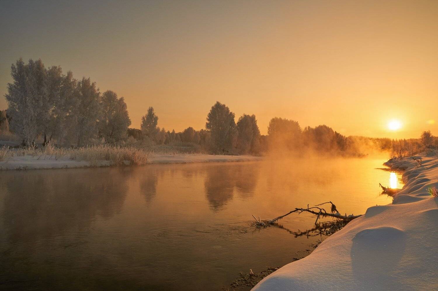 , Олег Богданов