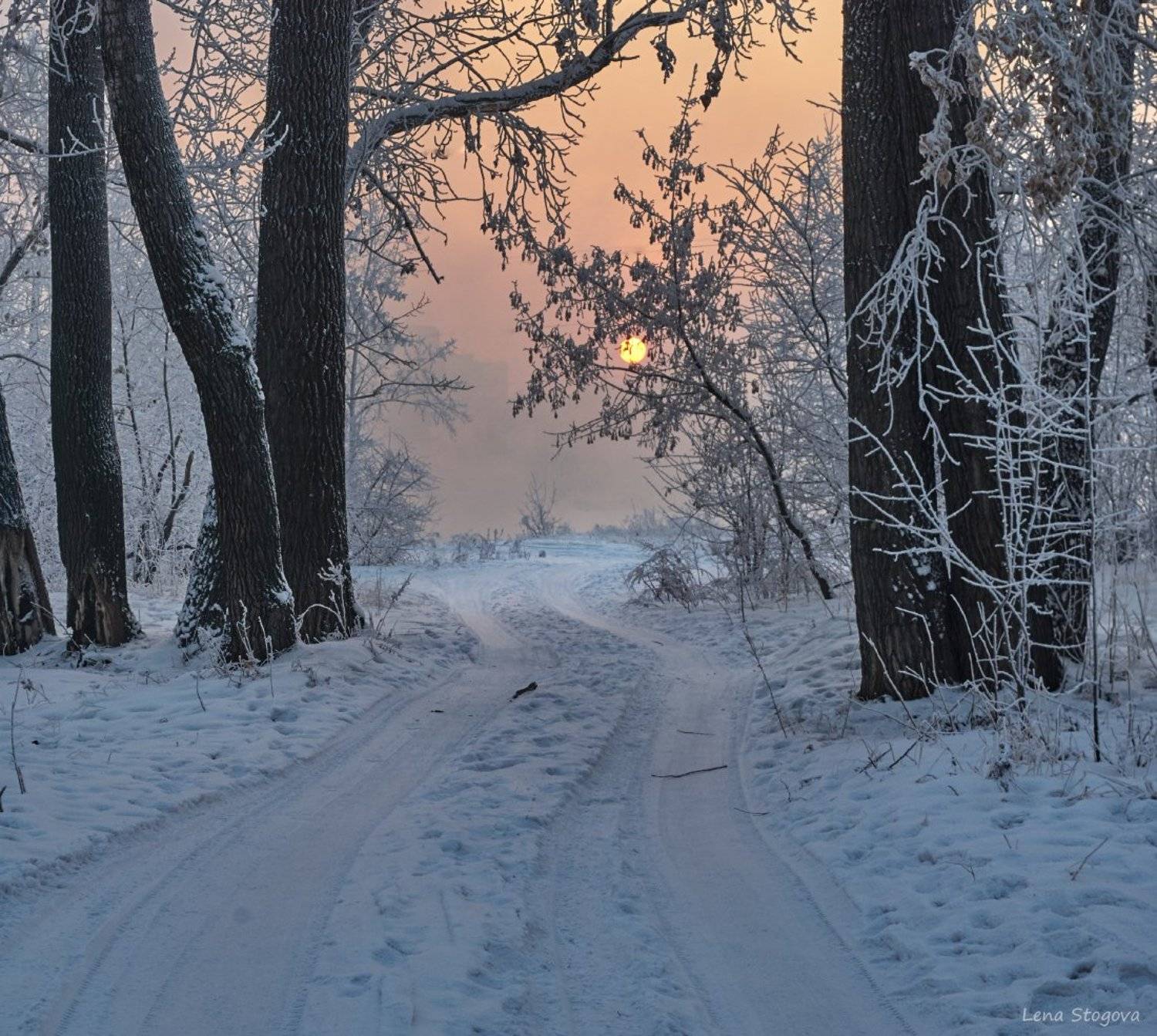 Зима, Красноярск, Лена Стогова