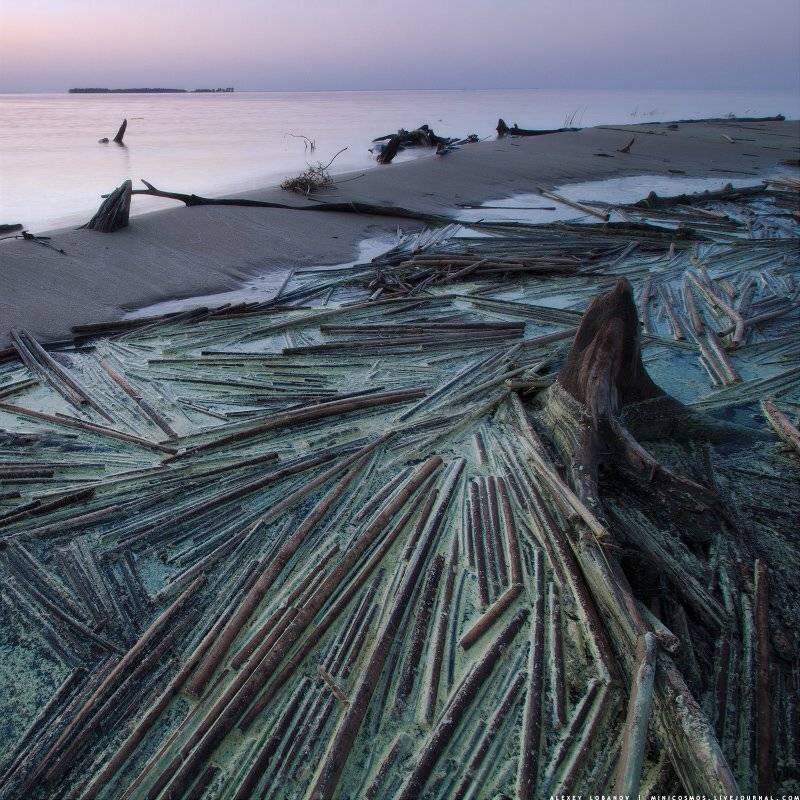 Рыбинское, Алексей Лобанов