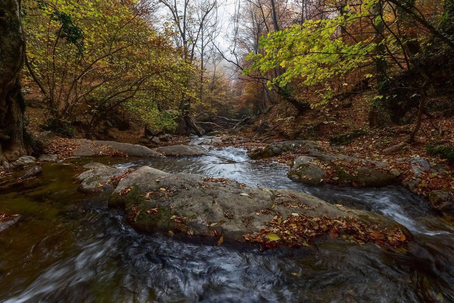 Крымосень, Александр Манжосов