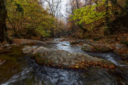 Осень ущелья Хапхал.