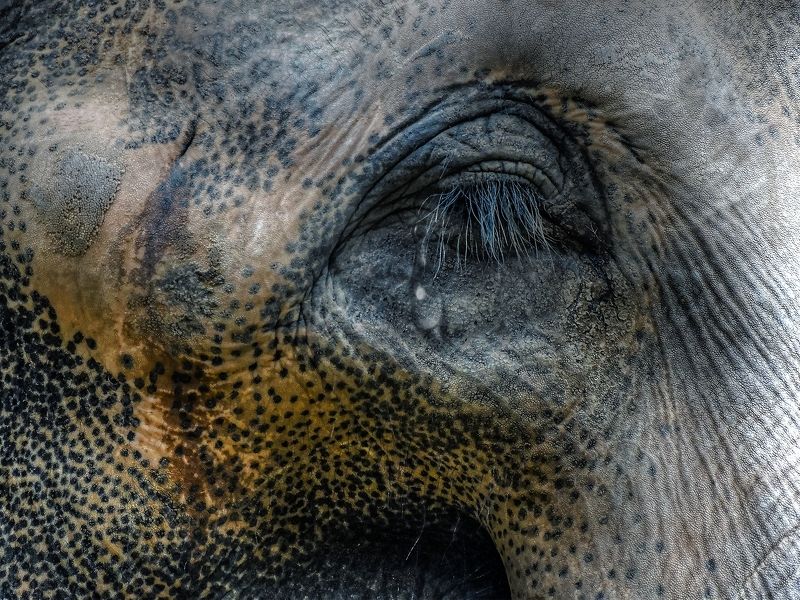 ***** фото превью