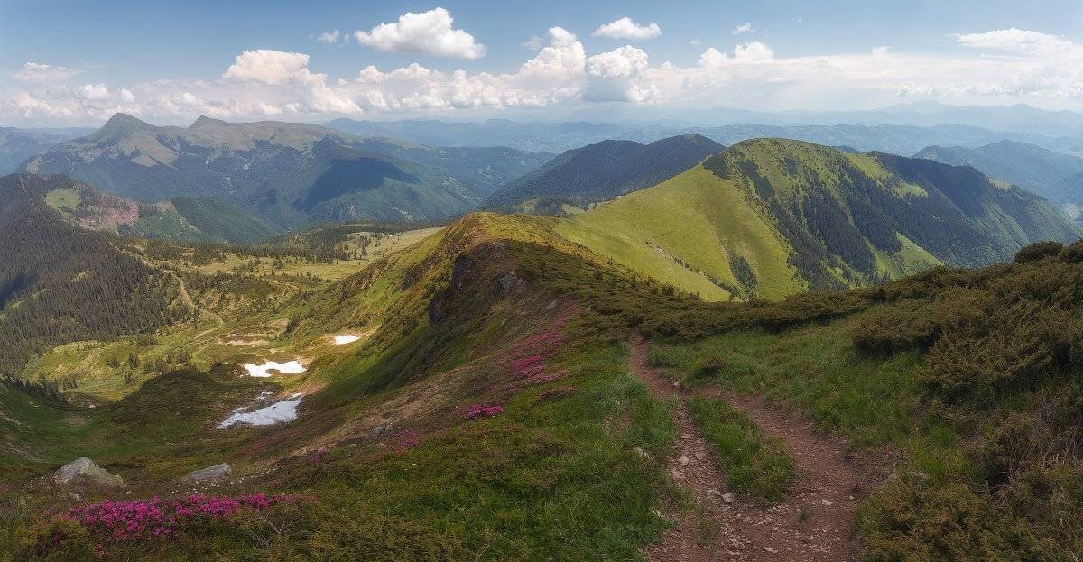 , Ярослав Тюрменко (Jaremi)