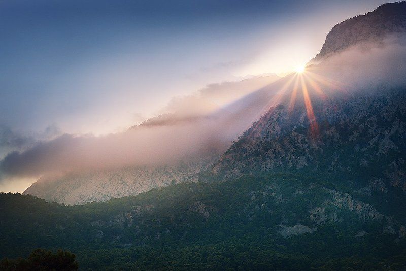 nikon Sun is Shine фото превью