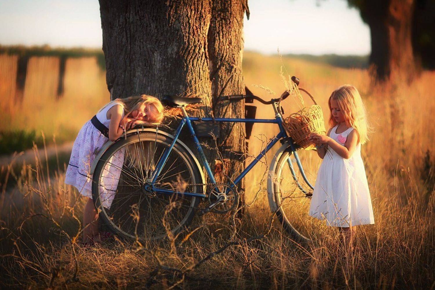 , Юлия Войнич