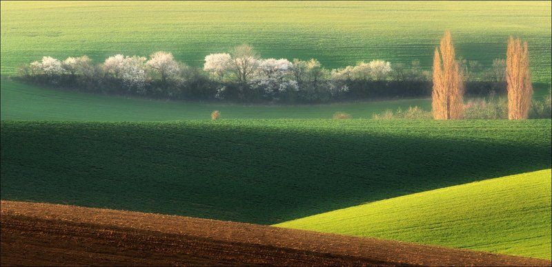 чехия, южная моравия,  весна, фототур, линии, свет, геометрия, south moravian, czech, chiaroscuro, / Моравские сюжеты / фото превью