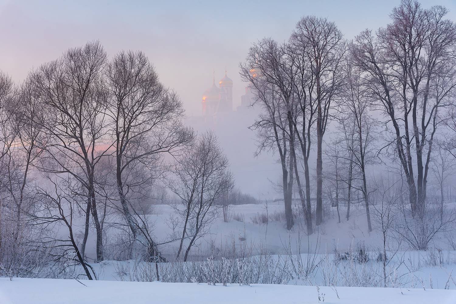 , Дмитрий Асеев