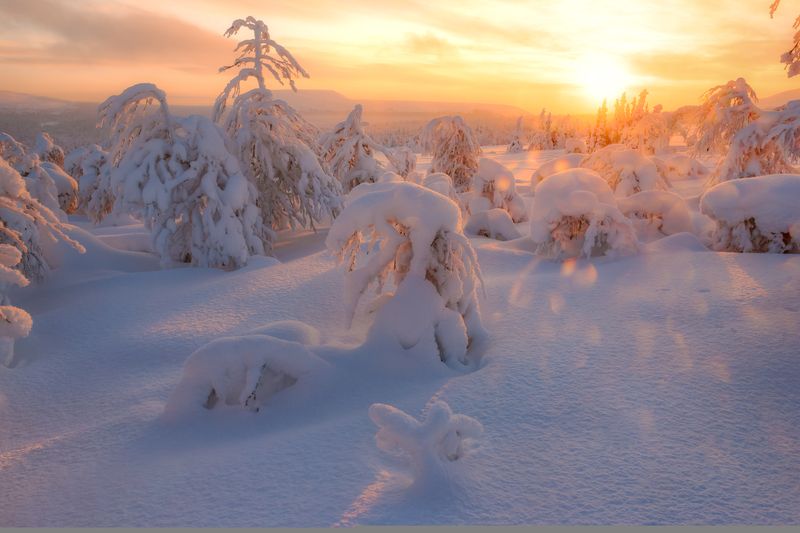 зима, уральские горы, гух, пейзаж,снег,солнце,утро Солнечные зайчики фото превью
