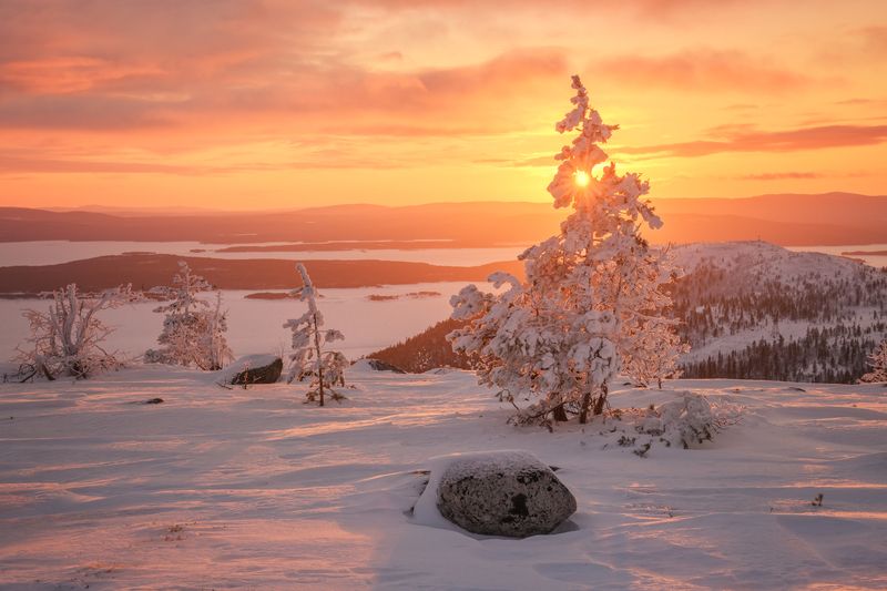 Солнечный вечер...  фото превью