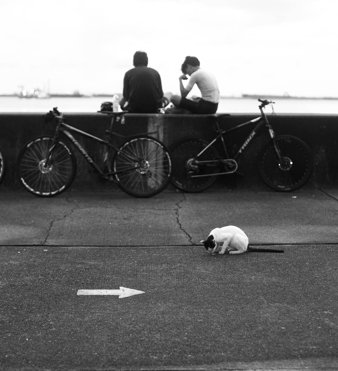 , Anastasiia Usoltceva