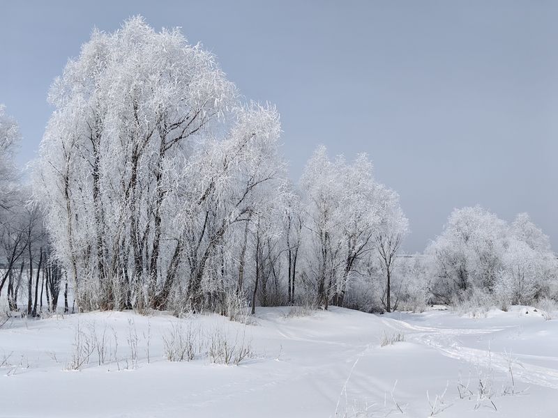 Белая зима фото превью