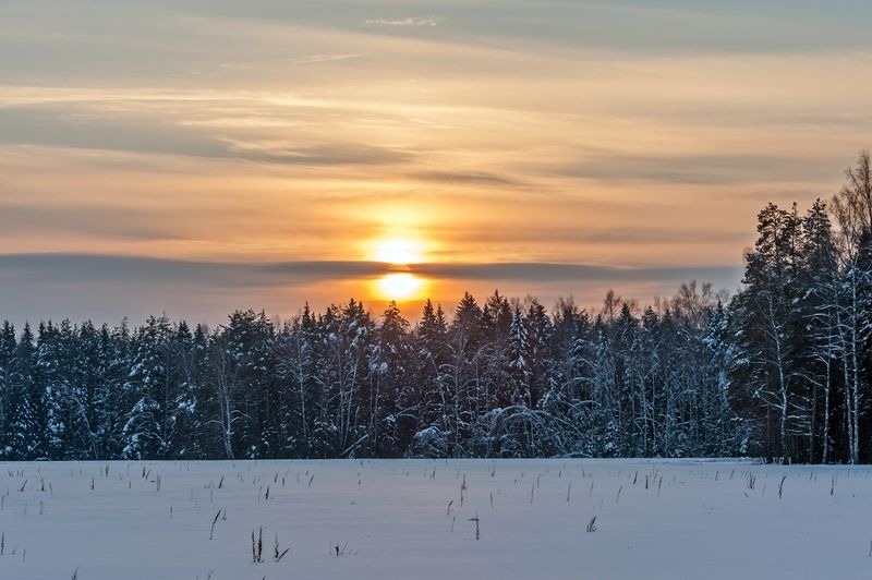 Февральский вечер фото превью