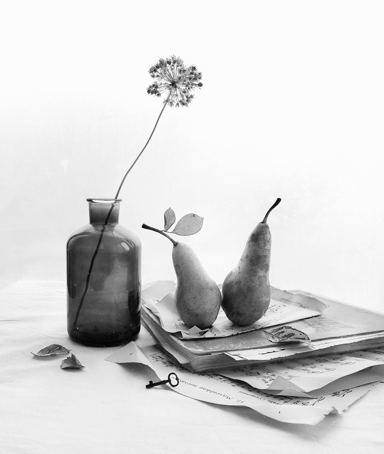 натюрморт, груши, чёрно-белый натюрморт, чёрно-белая фотография, фрукты, ваза, ноты, Алтыпина Наталья