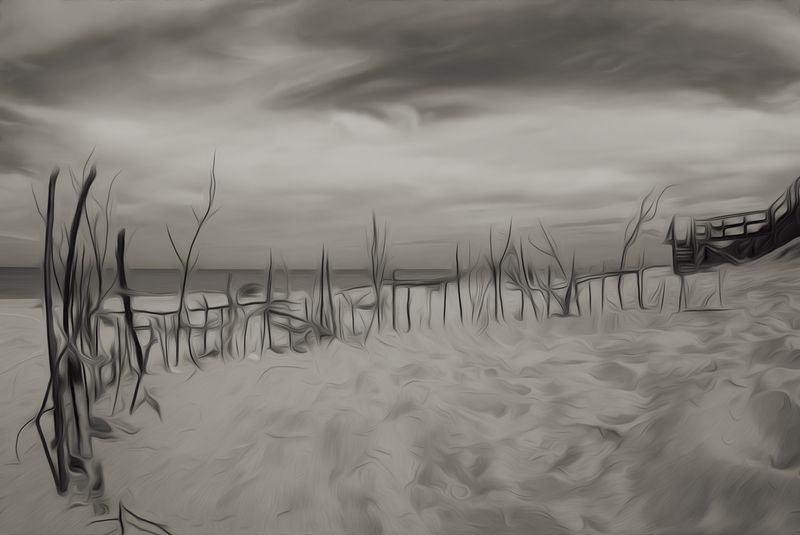 Балтийский берег. фото превью