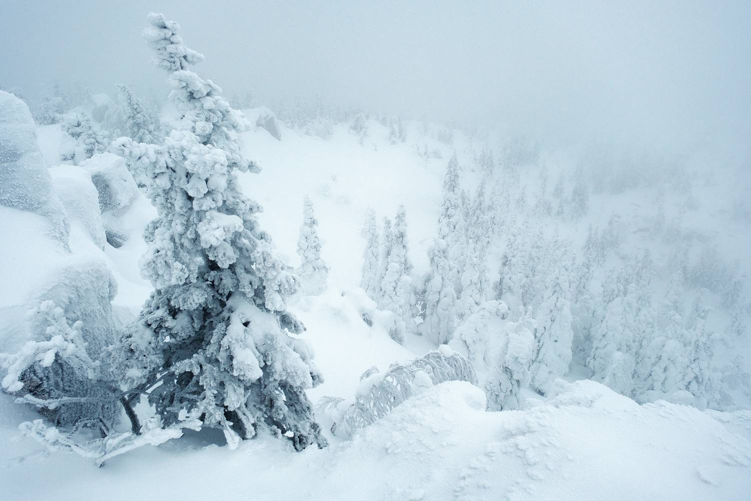 , Бодрягин Виталий