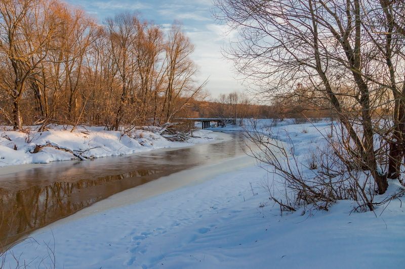 Отметился зимой 21-го года фото превью