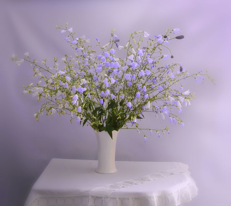 натюрморт,композиция,свет,лето,букет *** фото превью