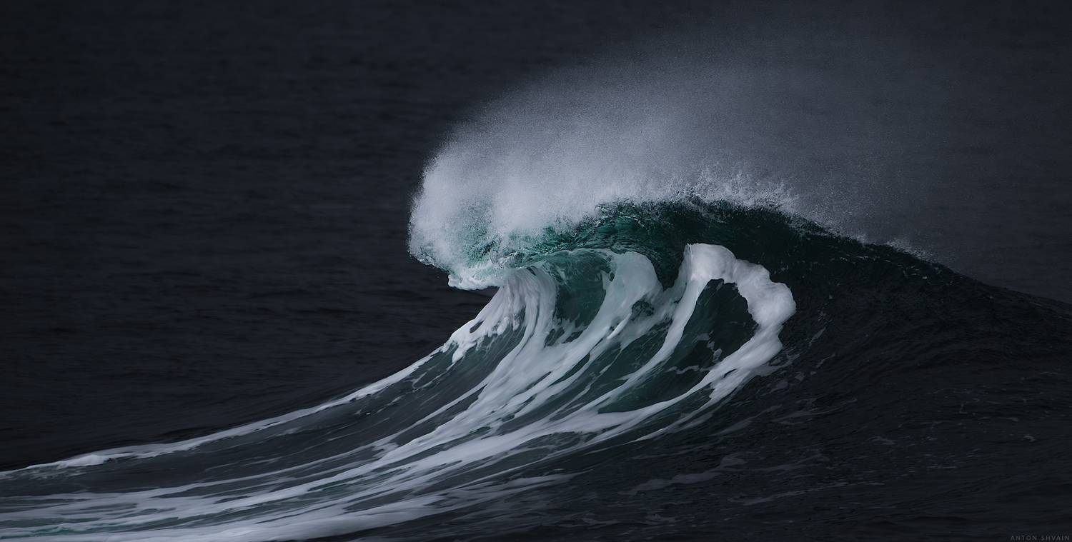 , Антон Шваин