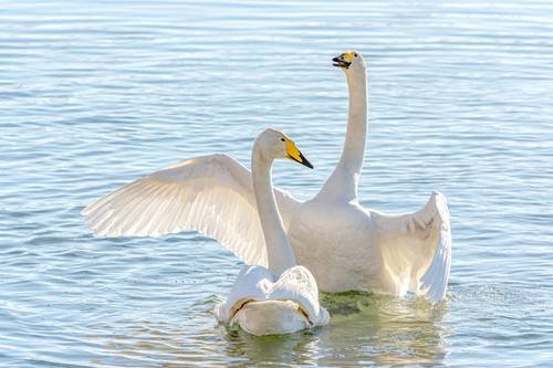 Объятия любви.