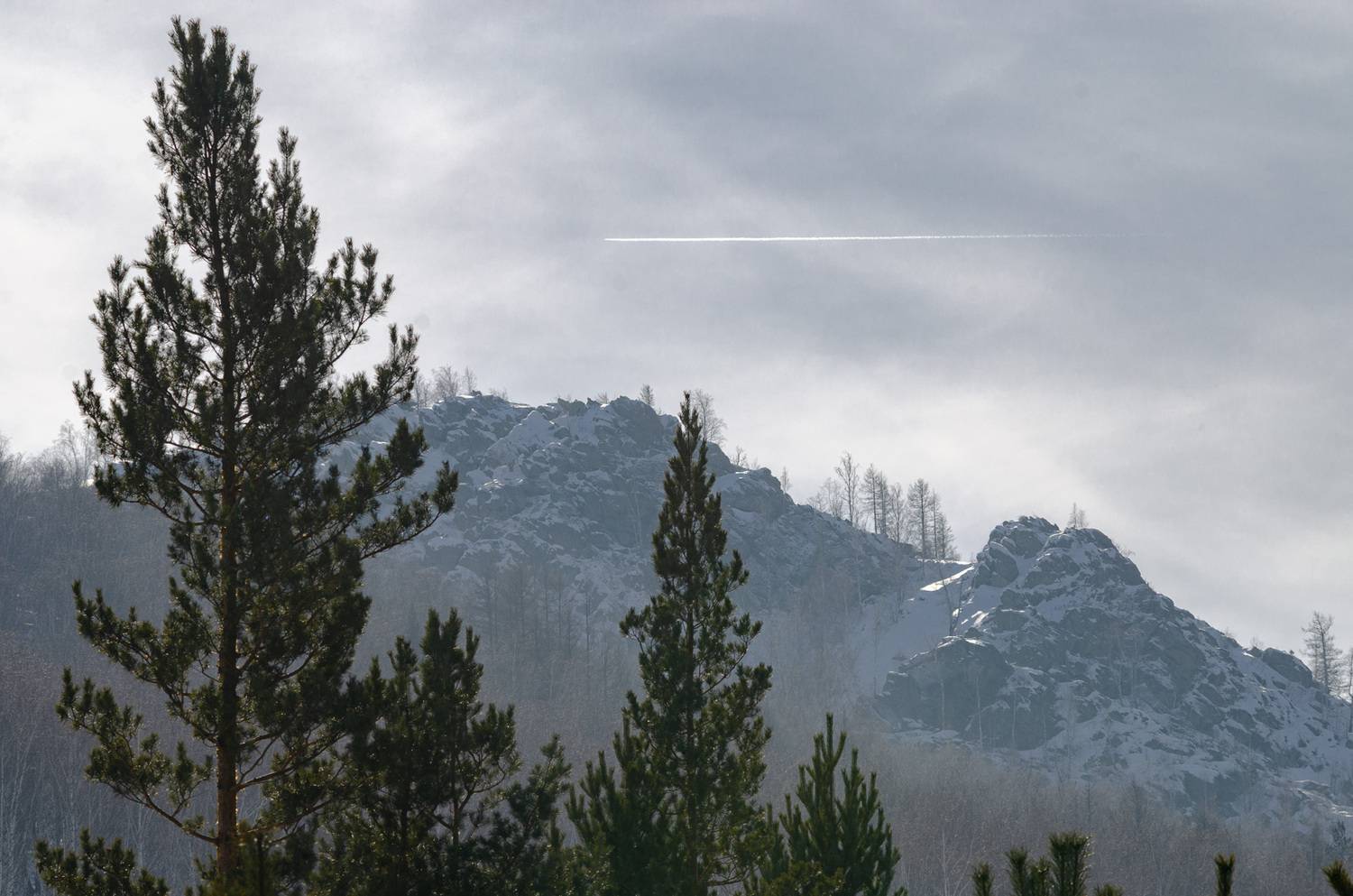 , Шустиков Дмитрий