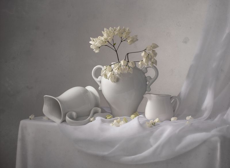 Softness фото превью