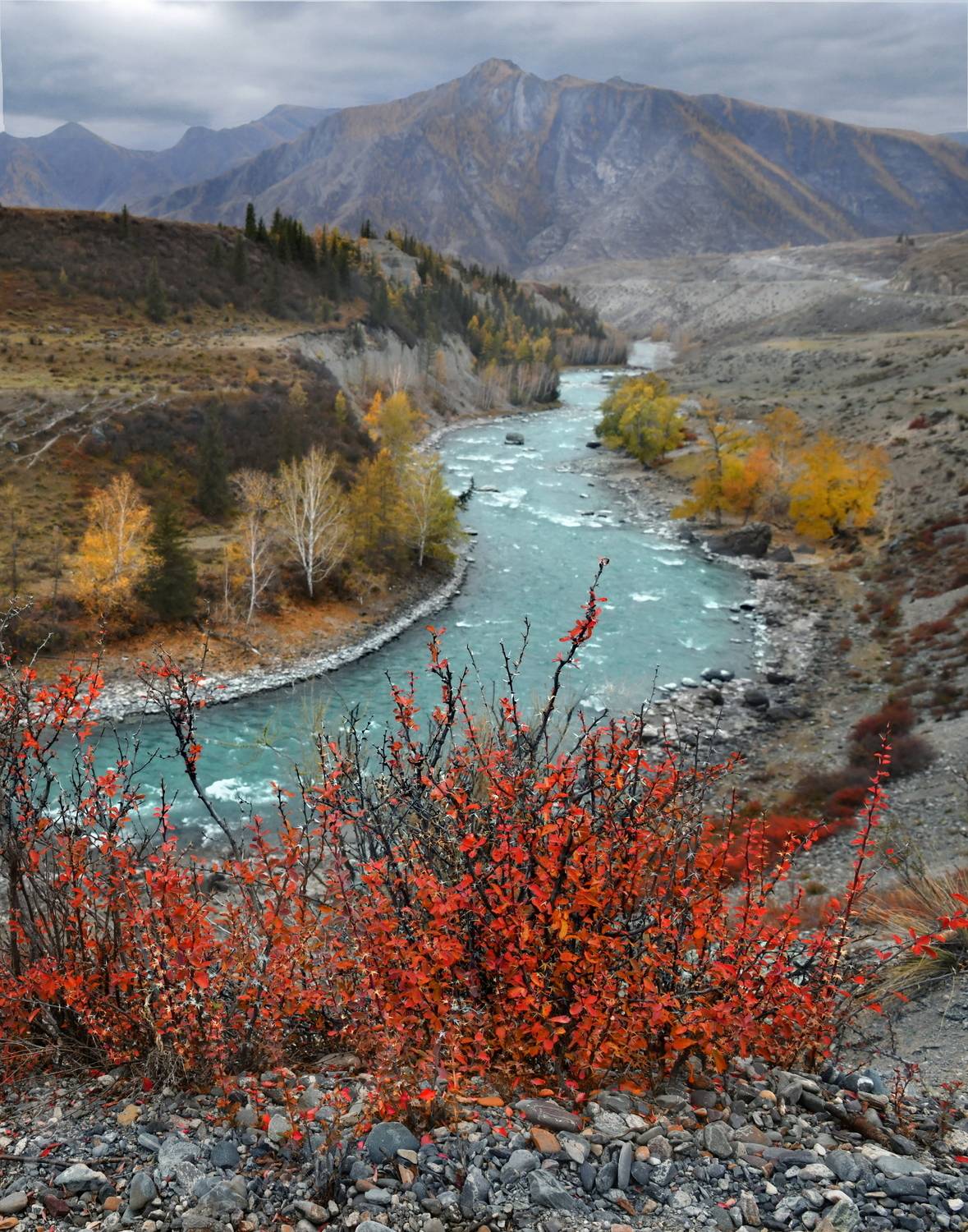 , Светлана Крат