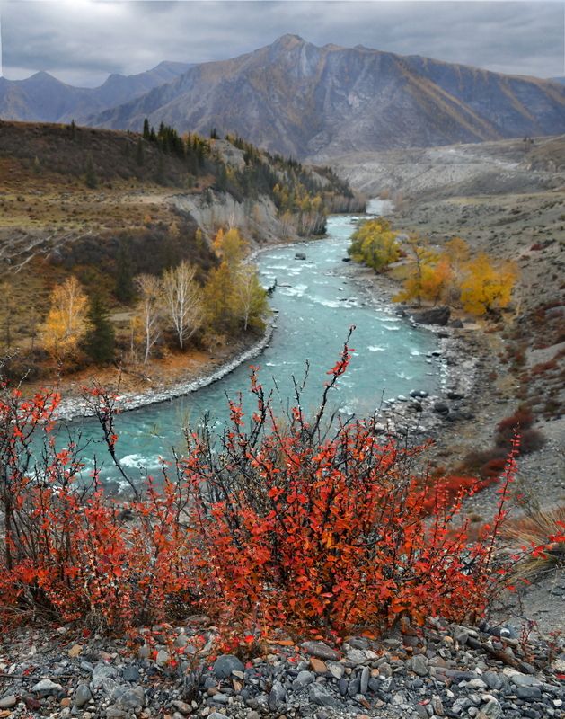 Осенний Алтай фото превью