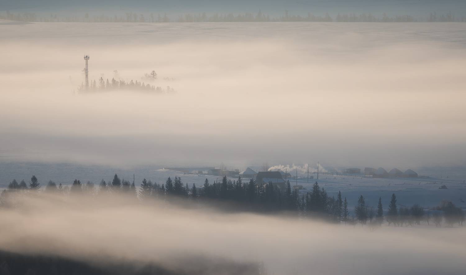 алтай, курай, Александр Писарев