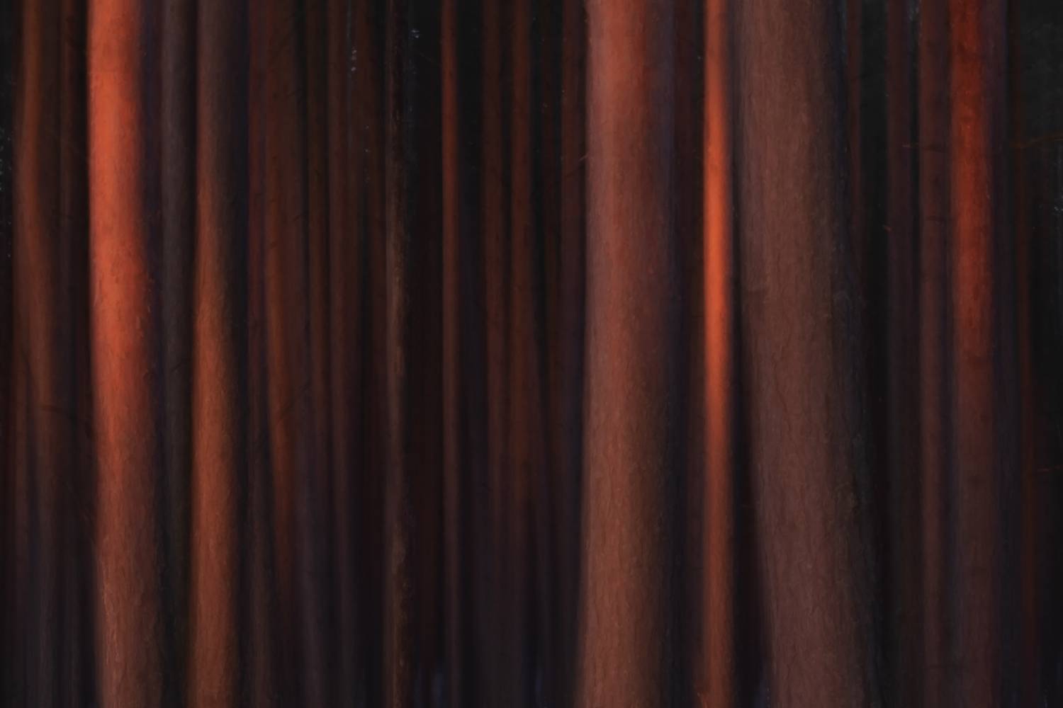 , Захаров Дмитрий