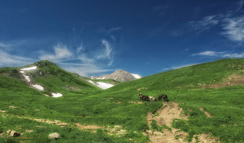 Лагонаки Кавказ горы альпика лошади  Эх, дороги... фото превью